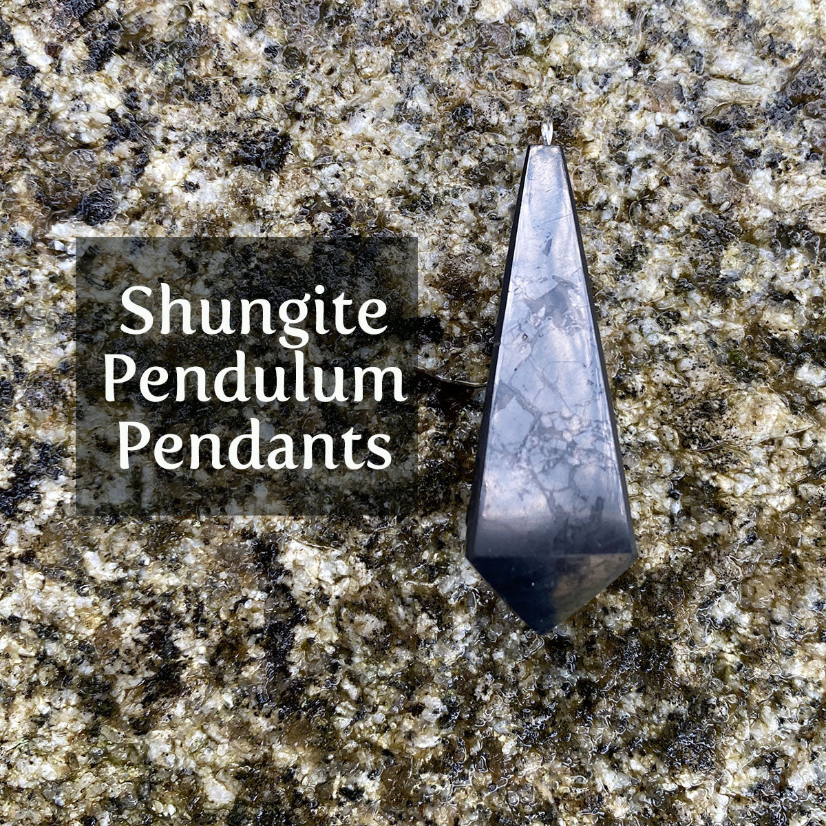 Shungite Pendulum Pendant