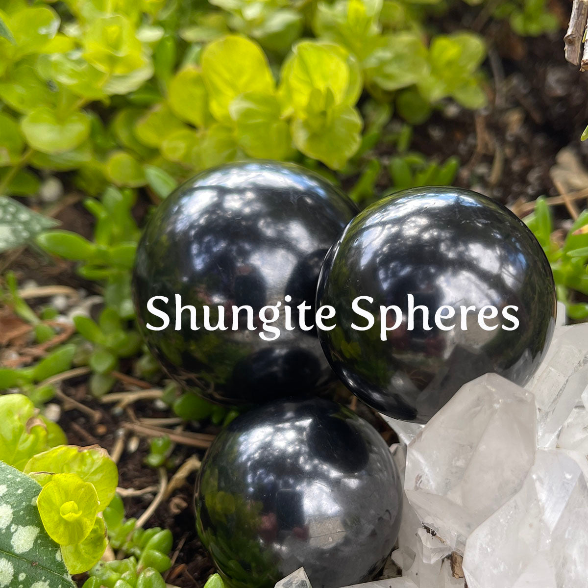 Shungite Spheres